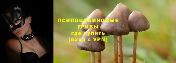 а пвп мука Белокуриха