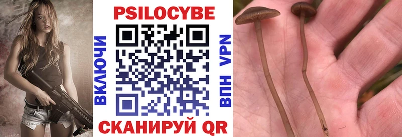даркнет сайт МЕГА как зайти Псилоцибиновые грибы GOLDEN TEACHER Армавир